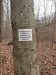 IMG_20250309_092536