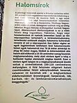 IMG_20250309_092046