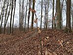 IMG_20250309_092256