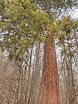IMG_20250309_112914