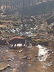 IMG_20250307_114835