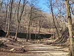 IMG_20250307_115323