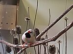 IMG_20250315_144456