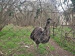 IMG_20250322_103749