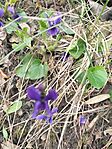 IMG_20250322_105139