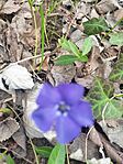 IMG_20250322_105217