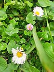IMG_20250322_111500
