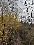 IMG_20250322_112437