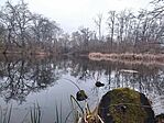 IMG_20250322_133530