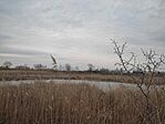 IMG_20250322_135533
