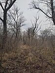 IMG_20250322_141950