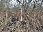 IMG_20250322_142104