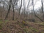 IMG_20250323_103856