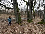 DSC00086