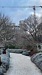 IMG_3958