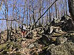 IMG_9004(1)