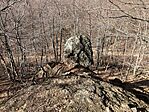 IMG_9008(1)