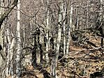 IMG_9009(1)