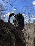IMG_9013(1)