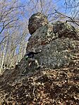 IMG_9017(1)