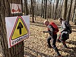 IMG_9018(1)