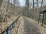 IMG_8975(1)