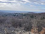 IMG_8978(1)