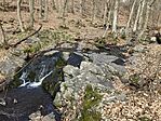 IMG_8988(1)
