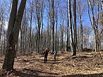 IMG_8999(1)