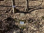 IMG_9025(1)