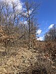 IMG_9026(1)