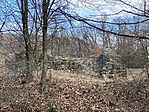 IMG_8981(1)