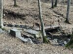 IMG_8985(1)