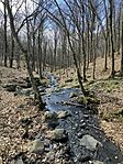 IMG_8987(1)