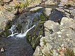 IMG_8989(1)