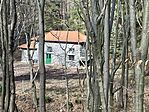 IMG_8991(1)