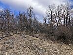 IMG_8994