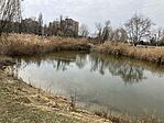 IMG_9031(1)