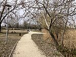 IMG_9032(1)
