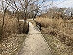 IMG_9033(1)