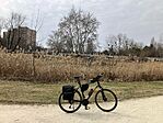 IMG_9034(1)