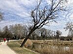 IMG_9035(1)