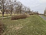 IMG_9038(1)