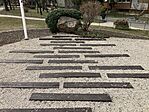 IMG_9042(1)