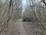 IMG_9049(1)