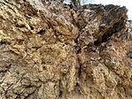 IMG_3271
