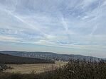 IMG_3246