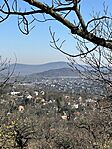IMG_3350