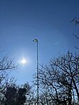 IMG_3351