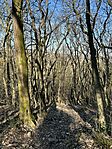 IMG_3357
